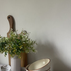 Тарілка супова 550 мл "Terra"