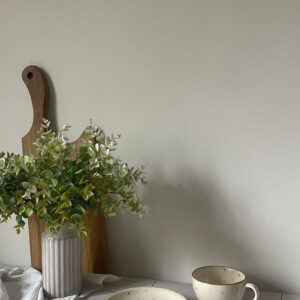 Чашка 250 мл з блюдцем "Terra"